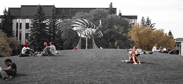 Anteil der Bildungsausländer an Hochschulen hat sich seit 1995 fast verdoppelt Campus © D'Arcy Norman auf flickr.com (CC 2.0)