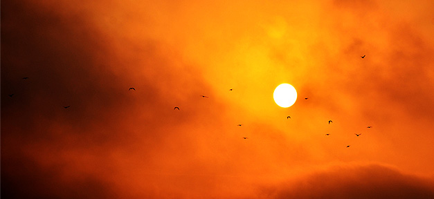 Ramadan-Fasten auch bei Hitze nicht gesundheitsgefährdend Sonne, Sonnenuntergang, dämmerlicht, vögel, himmel