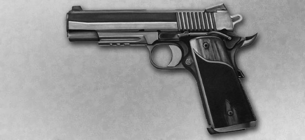 Immer mehr Rechtsextremisten mit Waffenschein Waffe, Pistole, NSU, Ceska, Automatik, Schusswaffe