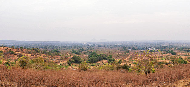 Immer mehr Menschen hungern wegen Konflikten Nigeria, Afrika, Wüste, Land, Steppe
