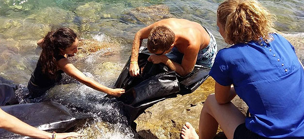 Start-Up macht Taschen aus Flüchtlingsbooten Flüchtlingsboote, Taschen, Mimycri, Start-up