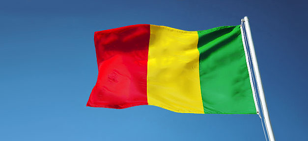 Auswanderer verhelfen Jugendlichen in der alten Heimat zu Ausbildung Mali, Flagge, Fahne, Mast, Fahnenmast, Afrika