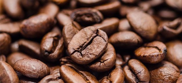 Junge Kenianer entdecken ihre Chancen in der Landwirtschaft Kaffee, Bohne, Kaffeebohne, Getränk, Coffee, Kahve