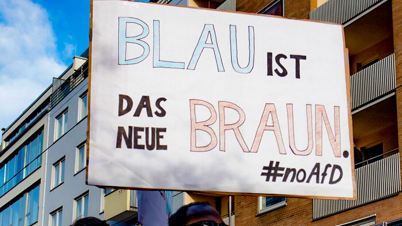 AfD will Vornamen der Silvester-Angreifer abfragen afd, noafd, demonstration, rechtsextremismus, blau, braun