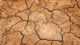 Internationale Hilfe für Krisenregion in Westafrika Dürre, Hunger, Boden, Erde, Afrika, Armut, Klimawandel