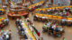 Studium, Bibliothek, Bildung, Hochschule, Universität, Studenten