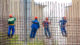 Viele Ausländer befristet oder geringfügig beschäftigt Bauarbeiter, Baustelle, Arbeitnehmer, Arbeiter, Fachkräfte