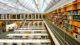 Eltern vemissen Bücher in ihren Muttersprachen Bibliothek, Universität, Hochschule, Bücher, Bildung, Forschung