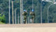Die Wut auf die Blauhelmsoldaten ist groß Blauhelme, Soldat, Militär, Vereinte Nationen, Krieg