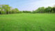 30-Meter-Hakenkreuz in Rasen gemäht Rasen, Bäume, Grün, Natur, Freizeit, Entspannung, Himmel