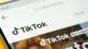 AfD dominiert TikTok im Parteienvergleich TikTok, Soziale Medien, Handy, Social Media, Video, Intenet, Netz