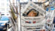 Zeitung, Medien, Zeitungsstand, Kiosk, Die Zeit, Frankfurter Allgemeine Zeitung, Süddeutsche Zeitung, SZ, FAZ