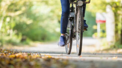 Fahrrad, Fahren, Frau, Wald, Waldweg, Verkehrsmittel, Rad, Sport